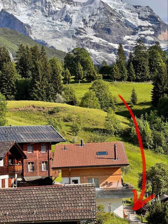 Chalet Viola Lägenhet Wengen Exteriör bild