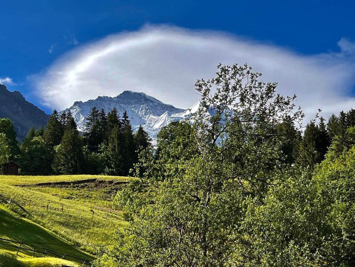 Chalet Viola Lägenhet Wengen Exteriör bild