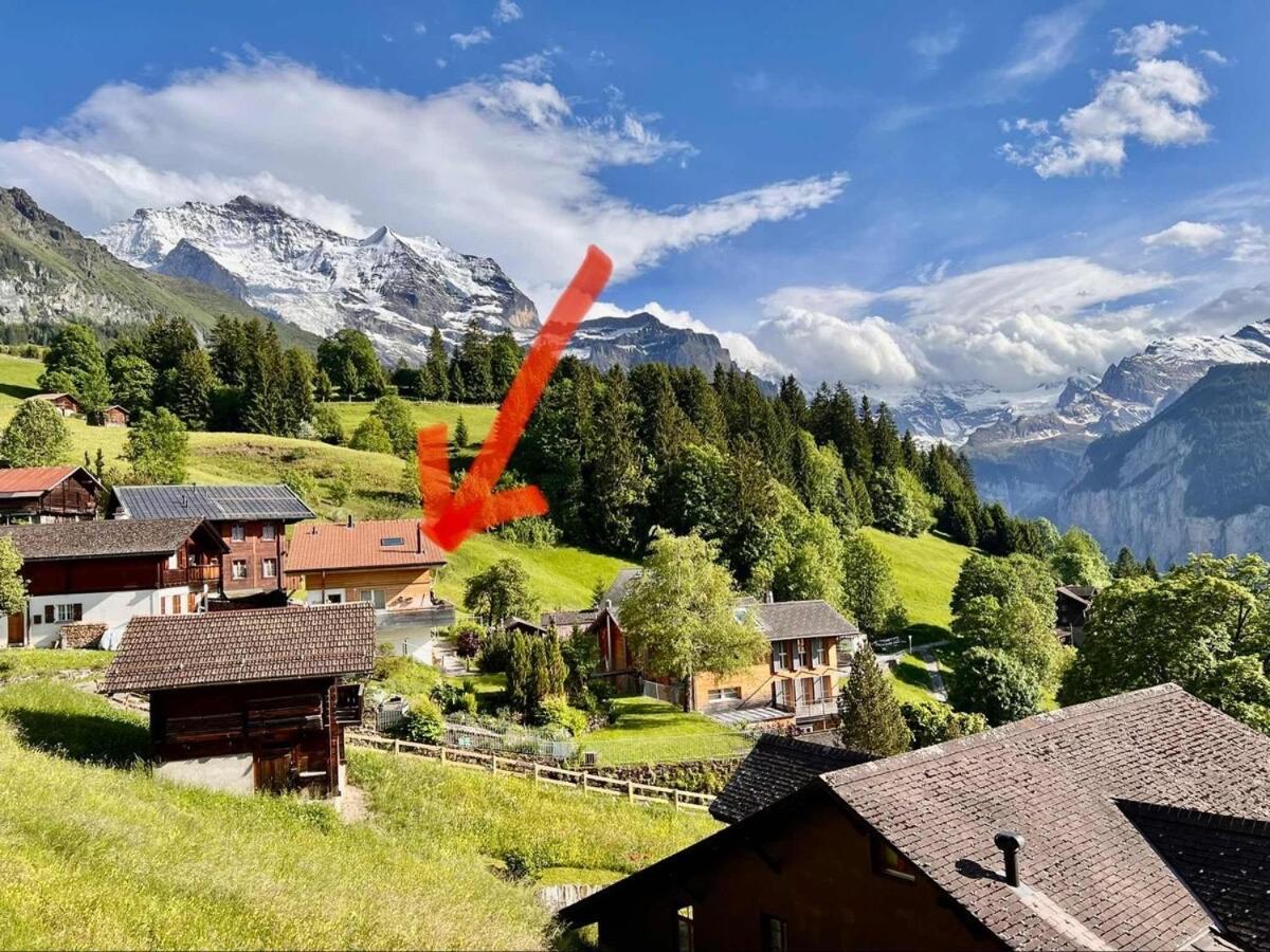 Chalet Viola Lägenhet Wengen Exteriör bild