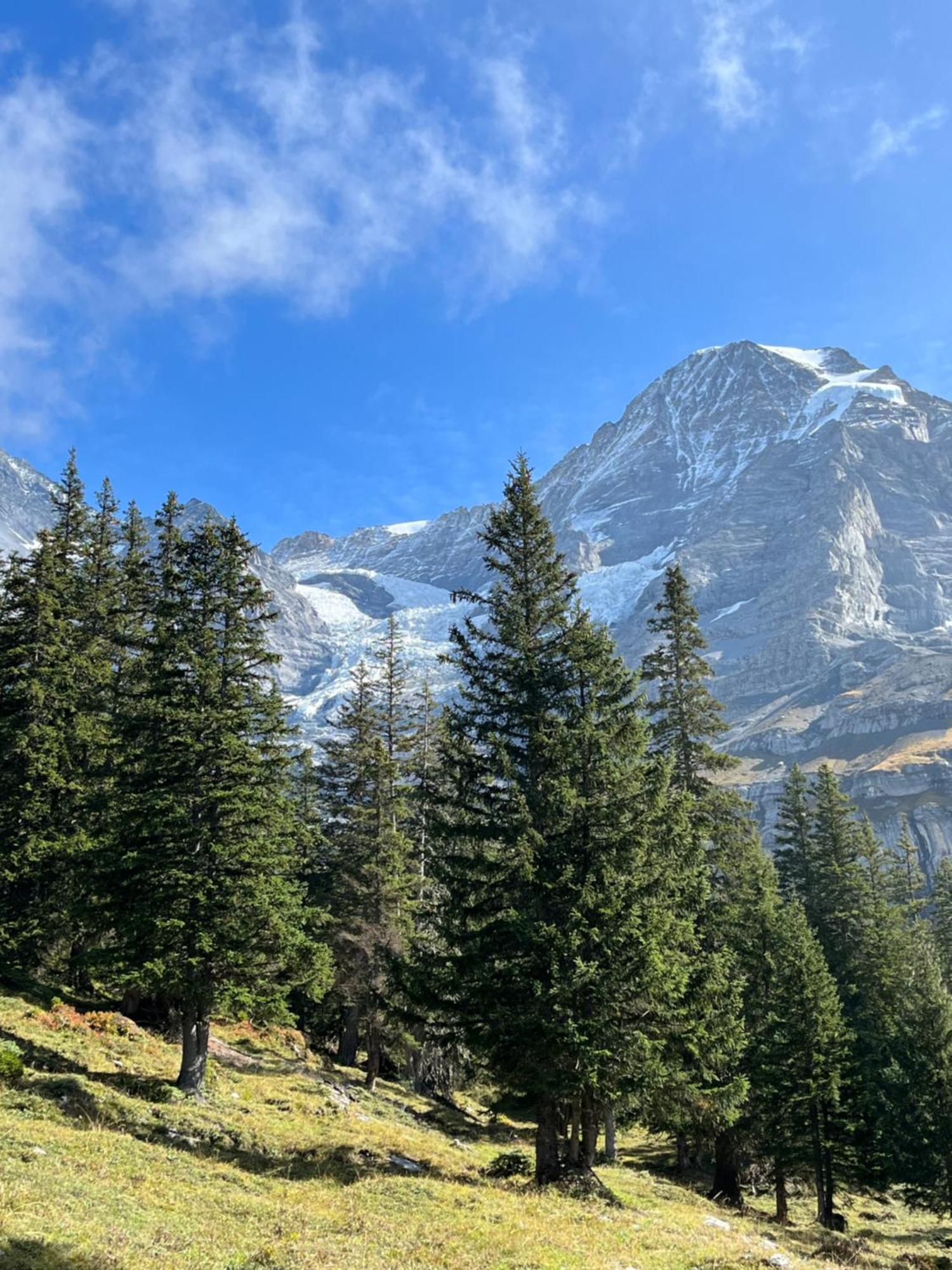 Chalet Viola Lägenhet Wengen Exteriör bild