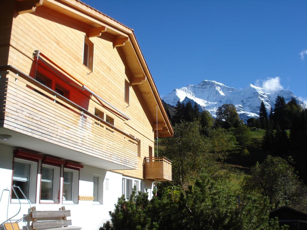 Chalet Viola Wengen Exteriör bild