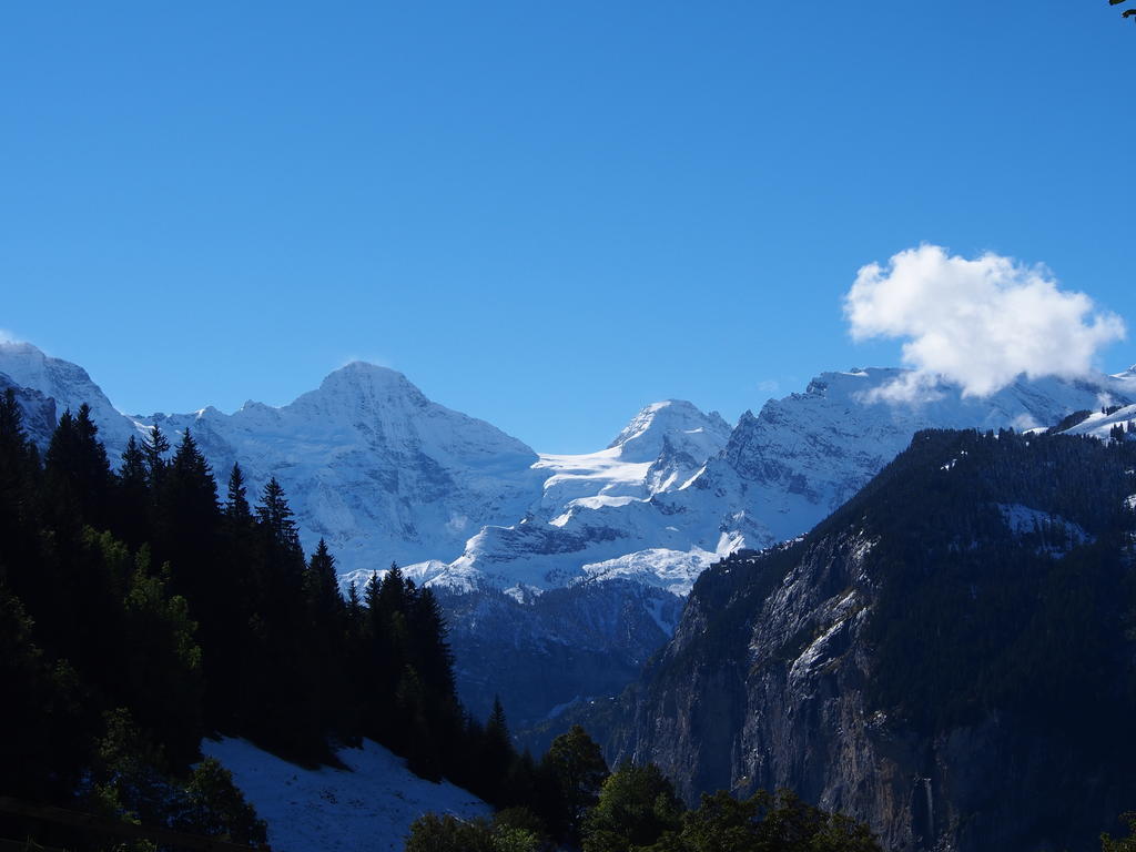 Chalet Viola Wengen Exteriör bild